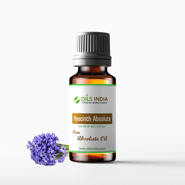 Hyacinth Absolute