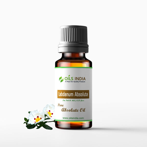 Labdanum Absolute
