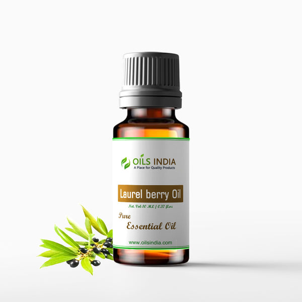 Laurel berry Oil