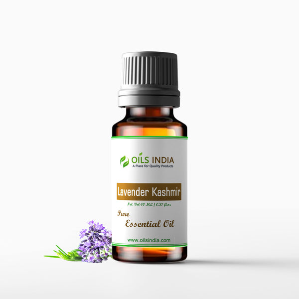 Lavender Oil Kashmir