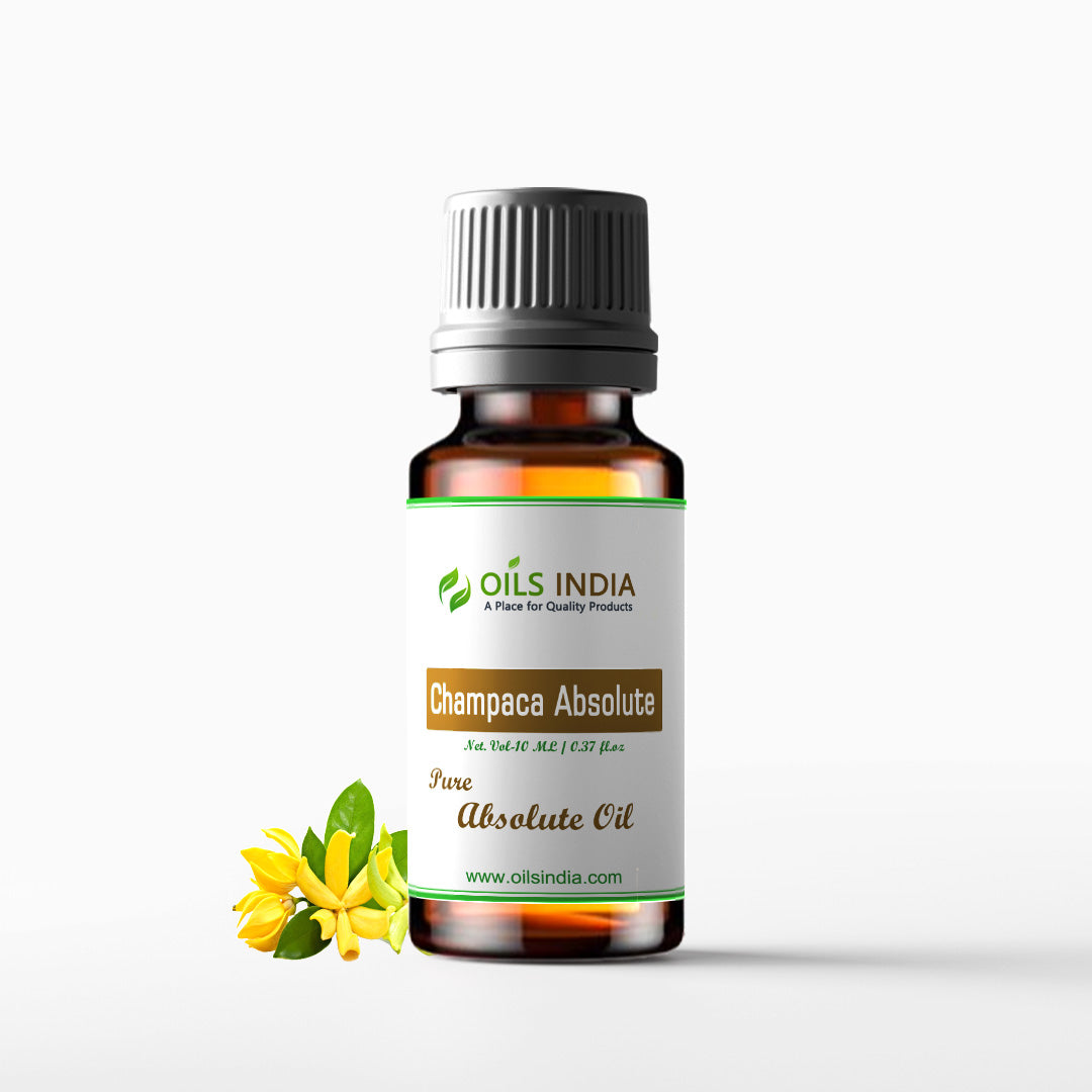 Champaca Absolute – Oils India