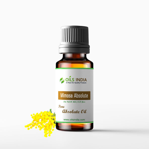 Mimosa Absolute