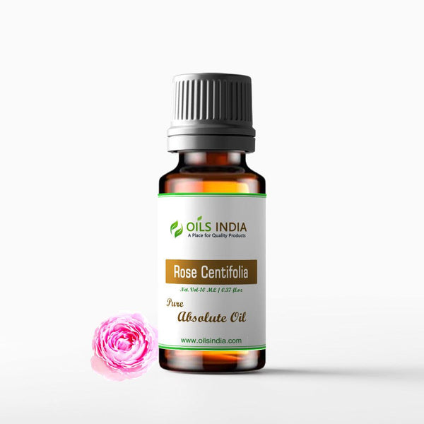 Rose Centifolia Absolute