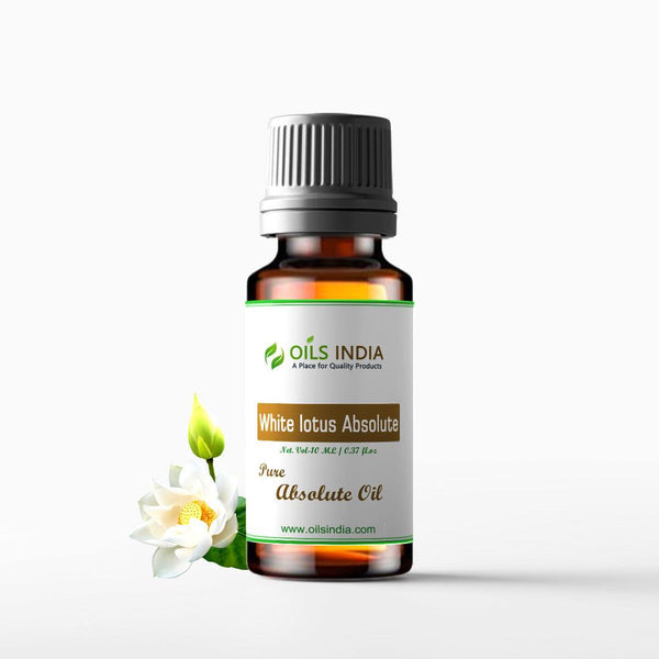 White Lotus Absolute
