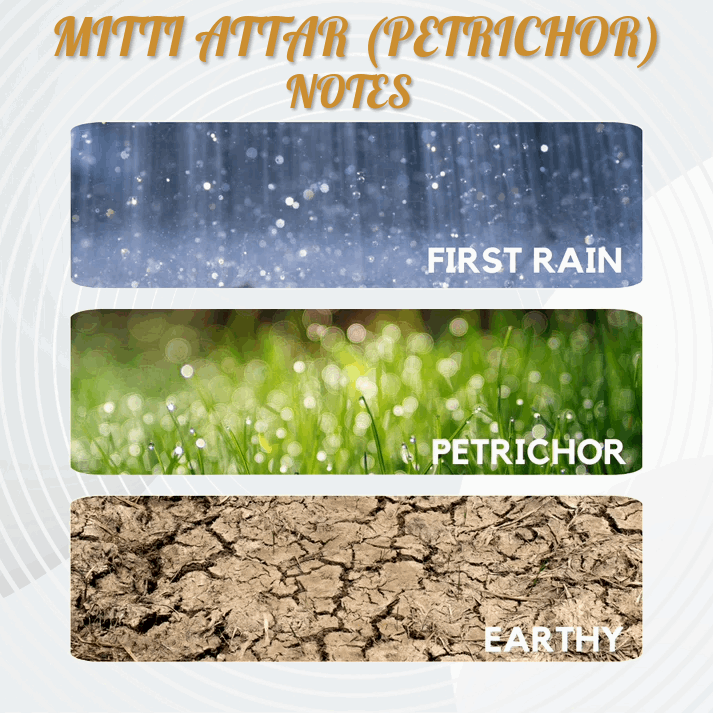 Mitti Attar (Petrichor) The Scent of Rain
