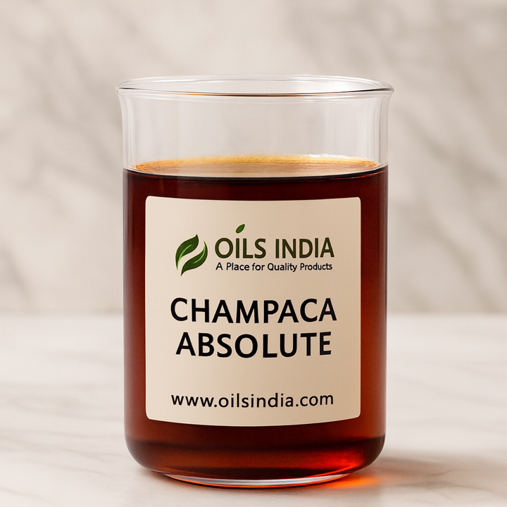 Glass container with Champaca Absolute oil and Oils India label on a neutral background
